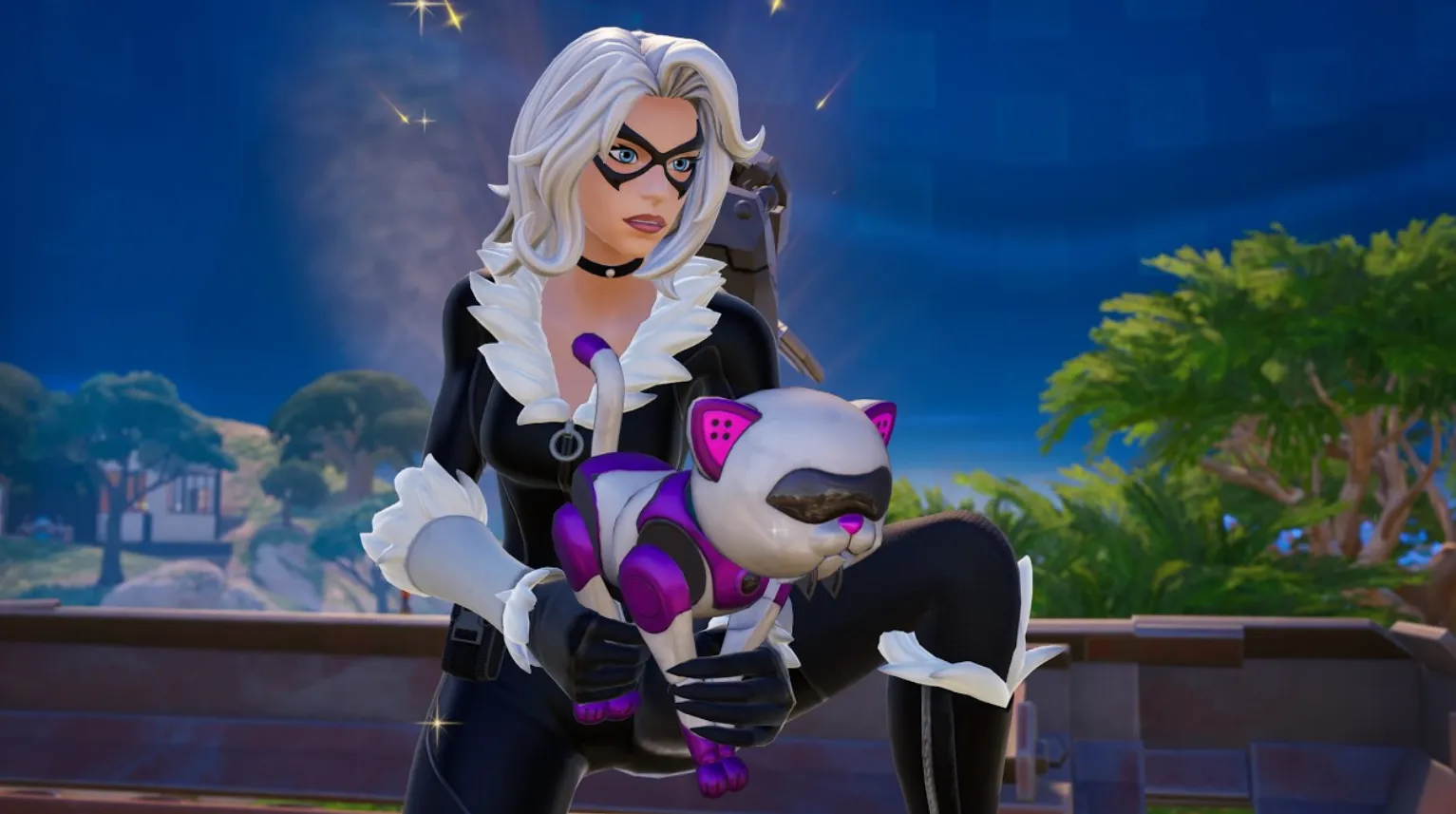 Black Cat fortnite